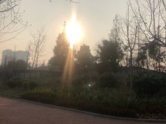 -山东外贸职业学院