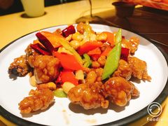 -素虎小呆鸟(西二旗店)