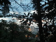 -云碧峰国家森林公园