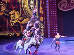 -珠海横琴长隆《卡卡虎奇遇记》