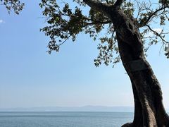 -抚仙湖禄充风景区