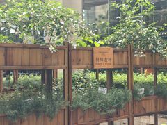 -昆明洲际酒店