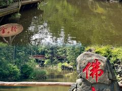 -茅兰沟国家森林公园