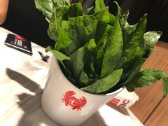 -七欣天香辣蟹火锅(南京建宁路大观天地店)