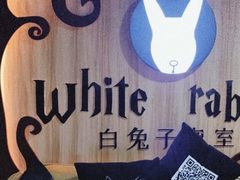-白兔子密室(长寿路店)