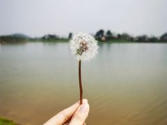 -云漫湖生态度假公园