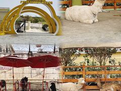 -华谊兄弟（长沙）电影小镇