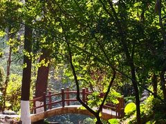 -火炉山森林公园
