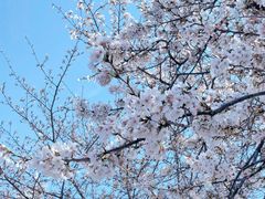 -西北湖绿化广场