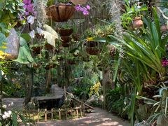 -中国科学院西双版纳热带植物园