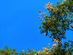 -湖南师范大学-木兰路食堂
