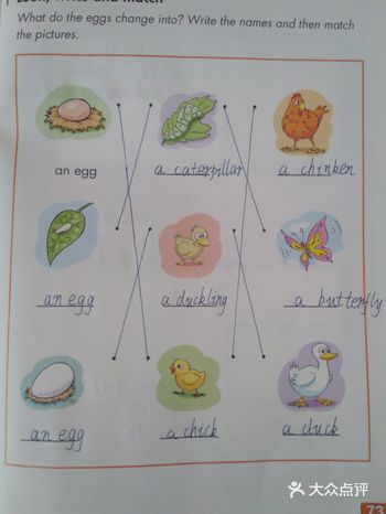 给孩子一种全新的体验！