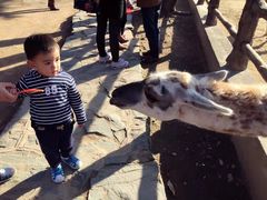 -西安秦岭野生动物园