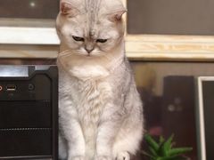 -宠颐生中康贝怡动物医院