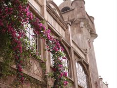 -赤坎·广东华侨国际旅游度假区