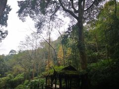 -青城山