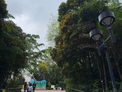 -九龙公园