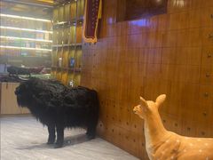 -如意林卡藏餐吧(大昭寺店)