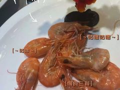 -印象普陀