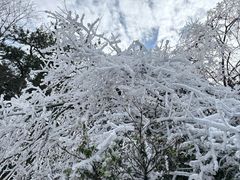 -庐山风景名胜区