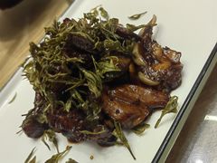 -阿巧茶庄