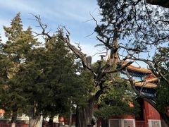-北京国子监胡同