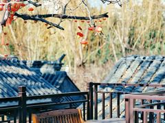 -悦真雅院·四合院·清真私房菜(雍和宫店)