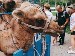 -哈尔滨北方森林动物园