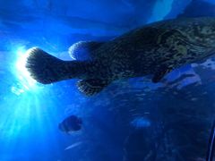 -太平洋海底世界