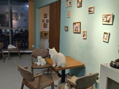 -猫爪屋猫咖(乐汇城店)