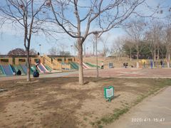 -大兴滨河森林公园