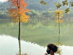 -凤岗南门山森林公园