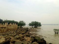 -宝安西湾红树林湿地公园