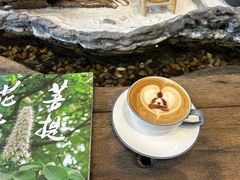 -菩提树下茶咖鼓捣
