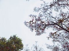 -滆湖低碳生态公园