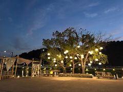 -东钱湖旅游度假区