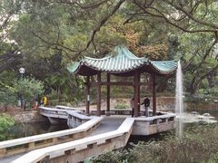 -九龙公园