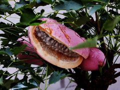 -千安奢侈品回收名表维修名包珠宝护理