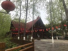 -合肥滨湖国家森林公园