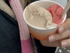 榛子Hazelnut-Dip in Gelato(富民路店)