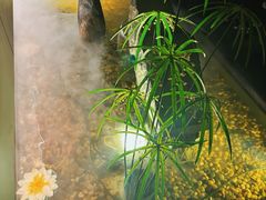 -遇玲珑餐厅