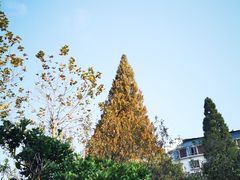 -井冈山风景名胜区