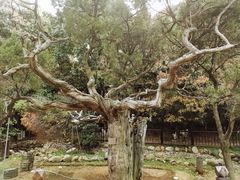 -草庵摩尼教遗址公园