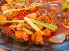 -鸿顺老铁锅美蛙鱼府(解放碑店)