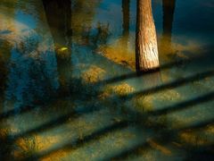 -麓湖高尔夫球俱乐部