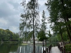 -重庆彩云湖湿地公园