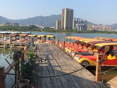 -飞来湖湿地公园