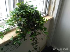 -锦江之星(武汉黄鹤楼复兴路地铁站店)