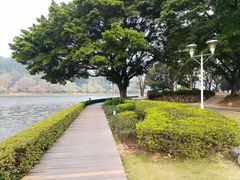 -南国桃园旅游度假区