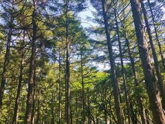 -长春市南湖公园